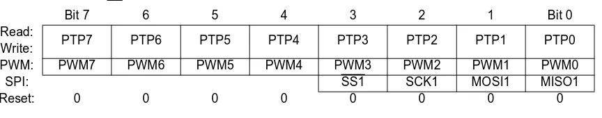 Figure 3-23  Port P Input Register (PTIP)