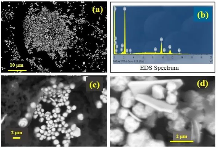 Figure 4 (a) presents a representative FESEM micrograph of the various Ag particle sizes and morphologies present in the sample
