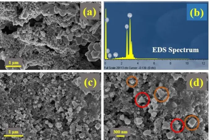 Figure 4  (a) Representative FESEM micrograph showing an array of various sized Ag particles; (b) EDS elemental analysis showing the strong presence of Ag; (c) Micrograph of various particle 