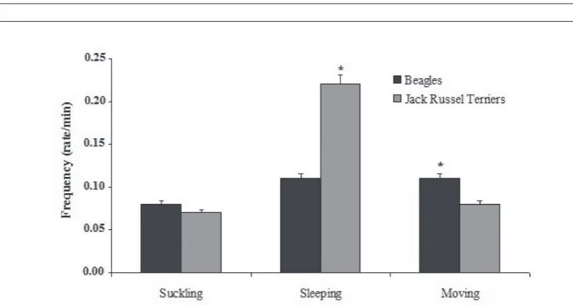 Figure 3. Breed differences in mean frequency of behaviors. Mann-Whitney U-test with the Bonferroni correction used (P ≤ 0.001)