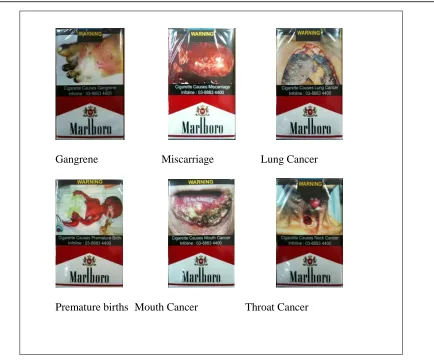 Figure 1.1: Visual Examples of Chronic Diseases on Cigarettes Packaging 