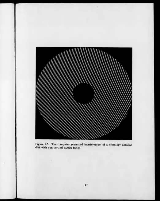 Figure 2.5: The computer generated interferogram of a vibratory annular disk with non-vertical carrier fringe