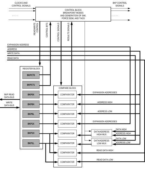 Figure 1-1  DBG Block Diagram in BKP Mode