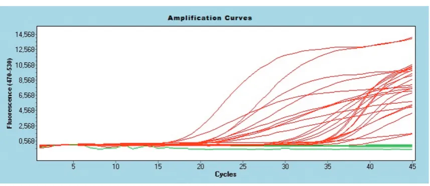 Table 2. Threshold cycle (CT) of quantification analysis obtained in 10-fold dilution of the pure culture genomic DNA (1 ng and 100 pg) and major melting peaks of amplicons