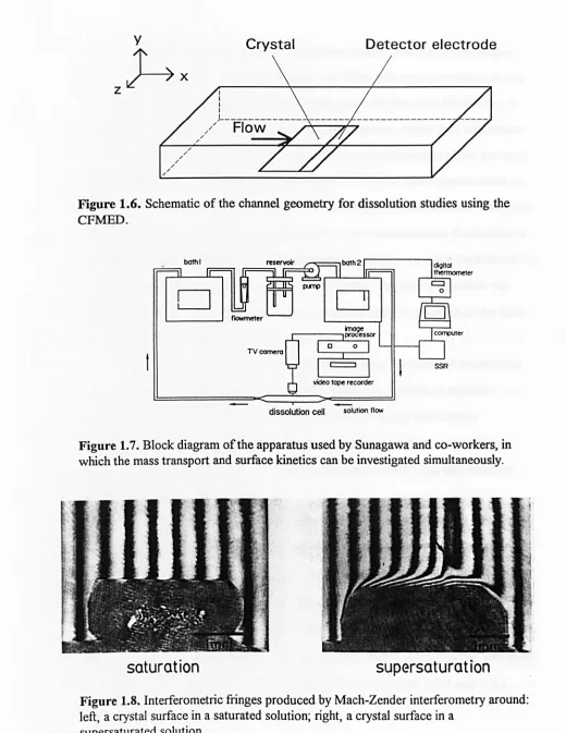 Figure 1.6. Schematic of the channel geometry for dissolution studies using the CFMED