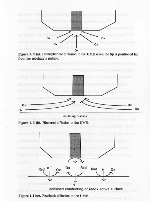 Figure 1.11(a). Hemispherical diffusion to the UME when the tip is positioned far Ox from the substrate's surface