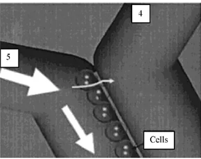Figure 2.11: For this particular set-up, two-layer (40 and 2amount of streamlines through the trap decreases, discouraging other cells to enter the traps and leading to single-cellof the ﬂuid streamlines to enter the traps
