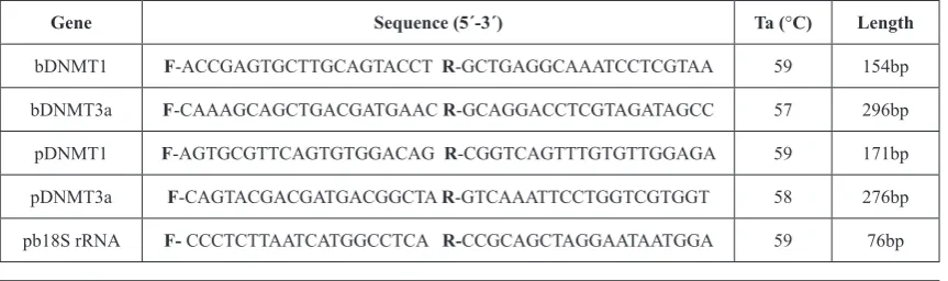 Table 1. Species specific primer sequences designed for detection of  DNMT1, DNMT3a and 18S rRNA (internal control) genes expression in bovine and porcine embryos