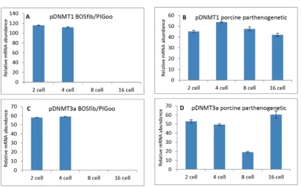 Figure 3. Progress in relative abundance of DNMT1from iSCNT (bovine fibroblast in porcine oocyte) compared with porcine parthenogenetic embryos