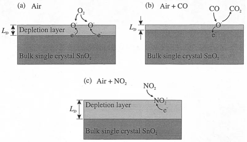 Figure 2.2 Schematic showing the depletion layer in single crystal Sn0 2 in (a) air, (b) reducing gas(e.g