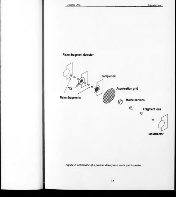 Figure 3. Schematic o f a plasma desorption mass spectrometer.