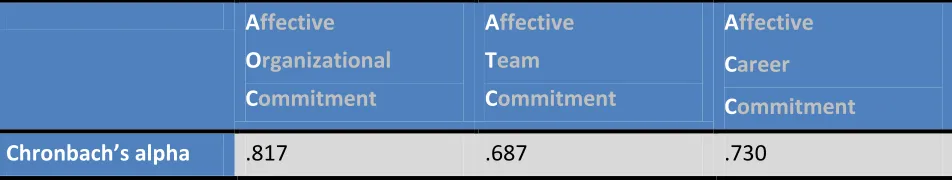 Table 3: Chronbach’s alpha for each of the commitment constructs. 