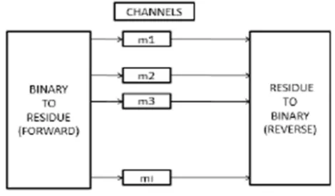 Figure 1. Structural components of RNS model. [9]. 