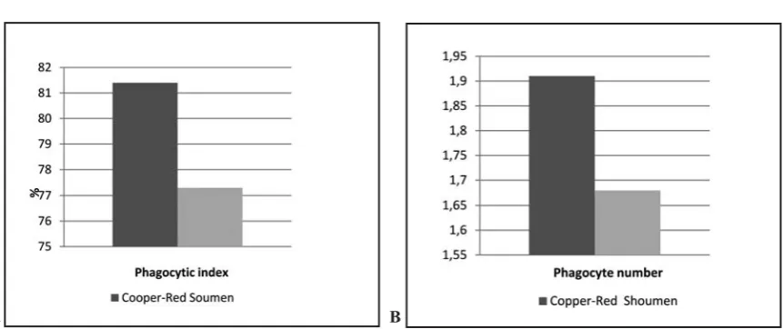 Figure 1 A, B. Phagocytic activity of neutrophils of rams 