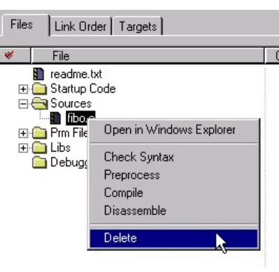 Figure 3.6  Removing Files From a Project