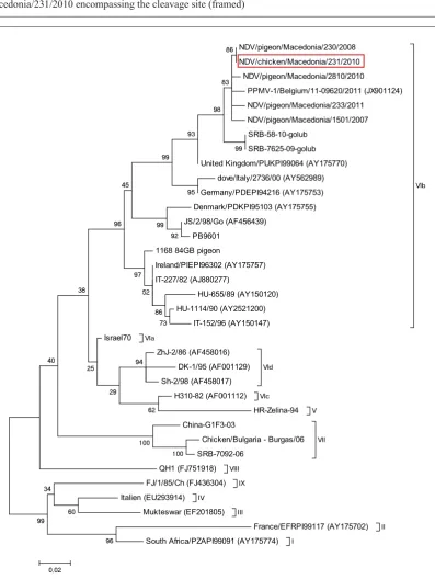 Figure 1. Electropherogram of part of the nucleotide sequence of the F gene of NDV/chicken/Macedonia/231/2010 encompassing the cleavage site (framed)