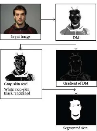 Figure 1. Algorithm workflow [17] 