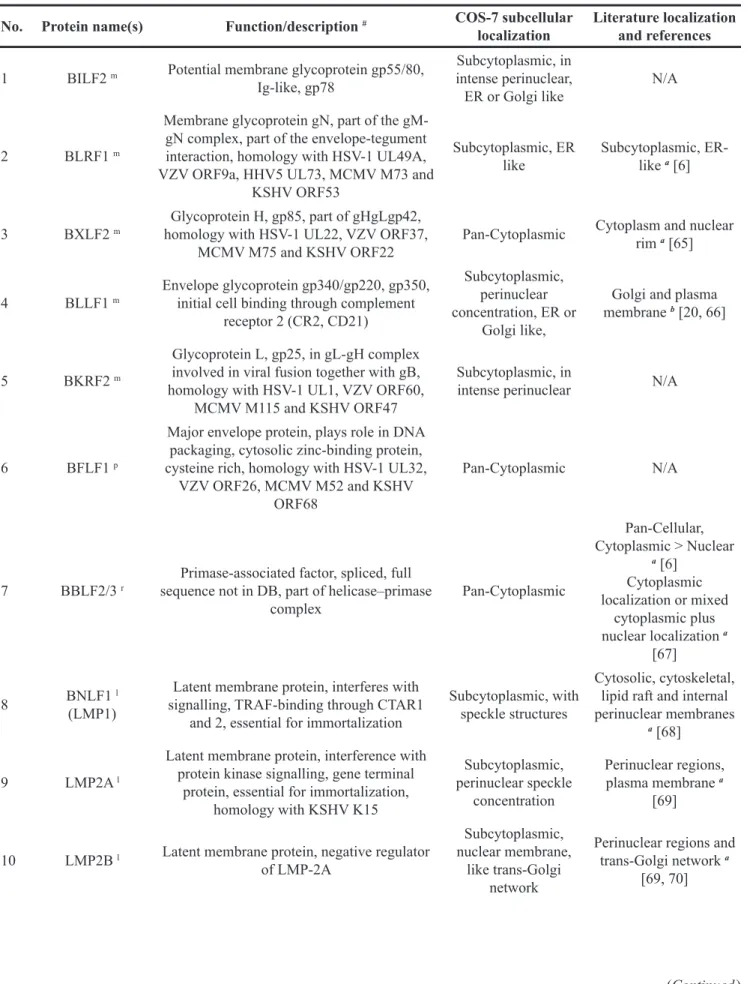 Table 2: Cytoplasmic localization summary of EBV-encoded proteins