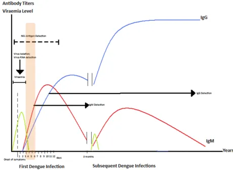 Figure 1:  Time course of primary/secondary dengue infections and the suitability of dengue diagnostics at different phases of illness.