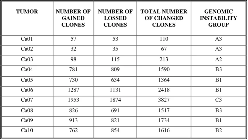 Table 1. Data about number of clones with altered copy numbers in all tumors and grouping them by type of genomic instability
