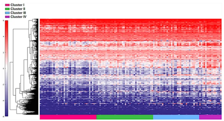Figure 1:  Distinct immune gene expression levels in cohort 1 (n=122) between the four TCGA bladder cancer subtypes based on the top  20% (377 NanosString panel genes) using the feature selection algorithm