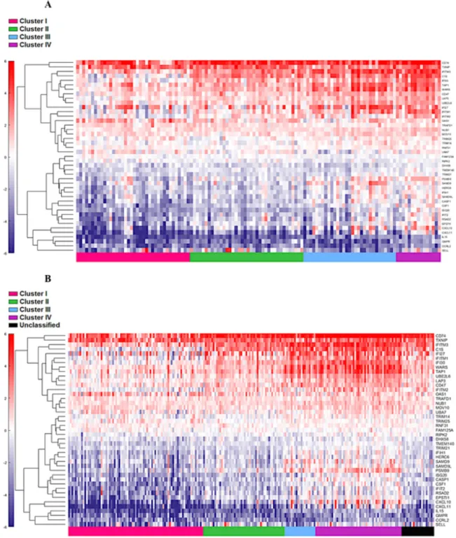 Figure 5:  Supervised heat map of top 20% of IFN-α associated pathway genes in both discovery (A) and validation (B) groups.