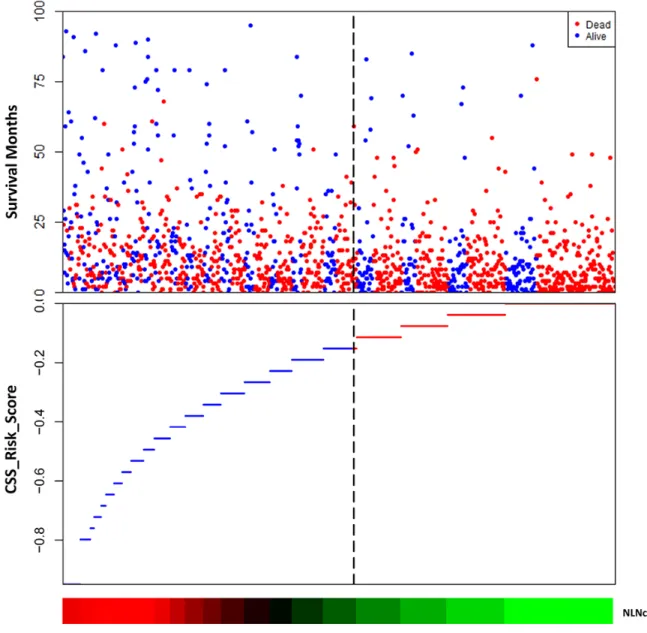 Figure 3: The risk score of NLN counts.  The risk score of negative lymph node (NLN) counts was built using the linear combination  of NLN counts with the estimated regression coefficients