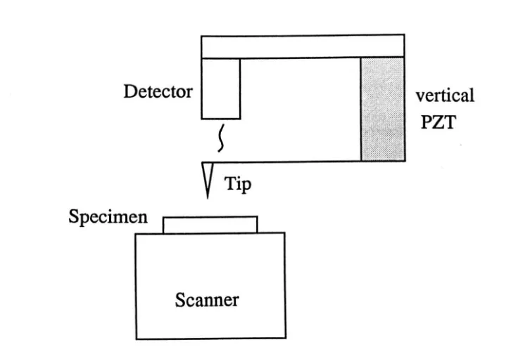 Figure 2.1: Schametic diagram of the configuration of atomic scanning microscope 