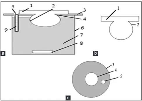 Fig. 1a: Fully assembled newly developed diffusion cell 