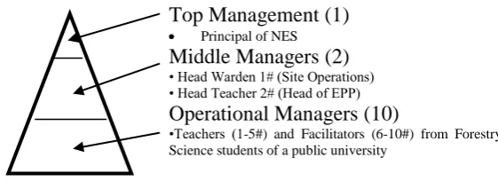 Figure 1. Organisational Structure for the NES  
