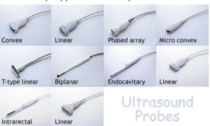 Fig: 8 different types of Ultrasound transducers 