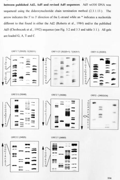 Figure 3.1. ORFI