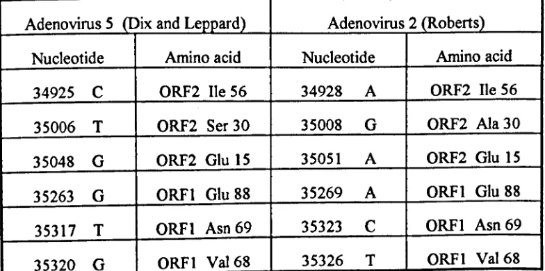 Table 3.1.The DNA sequence variations