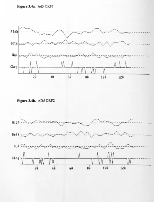 Figure 3.4a. AdS ORFI