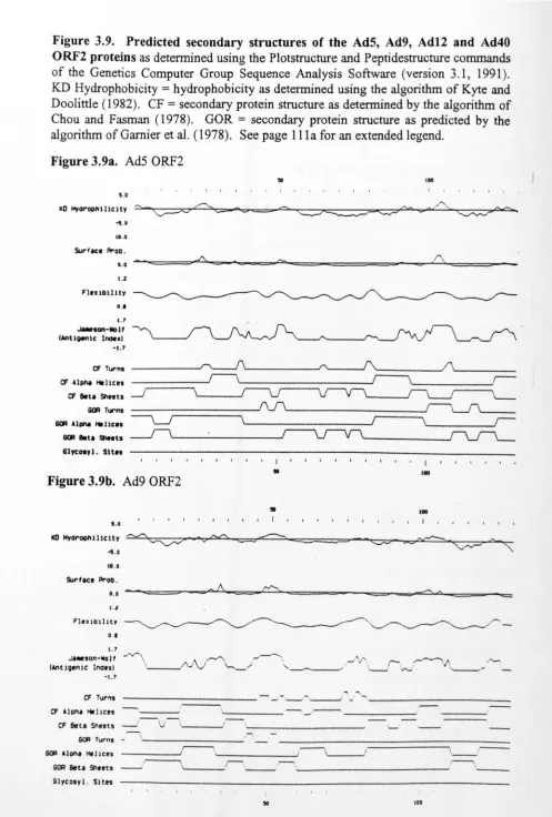 Figure 3.9.ORF2 proteins