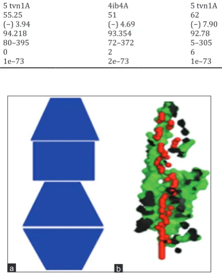 Fig. 8: (a) Pore shape (Identified shape: UDSD) and (b) Top right: XZ-plane section, Y>0 coordinates only