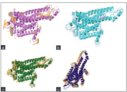 Fig. 9: (a) Solvent accessible surface, (b) Dot surfaces, (c) Vander wall surfaces, (d) Molecular 