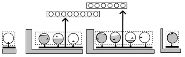 Figure 11. Partial tasks repeated with small loops between the stages of the model 