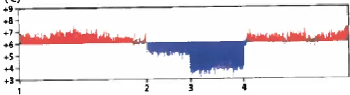 Figure 3: Infrared recording of bridge (CROW, 2008) 