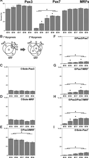 Fig. 2. Quantitative analyses of the 7 subpopulations of isolated cells. Analyses of cells isolated from E15 - E19 embryos show the overall sizes of (A) Pax3+ and MRF+ com-munities remain constant during myogenesis while that of Pax7+ population increases 