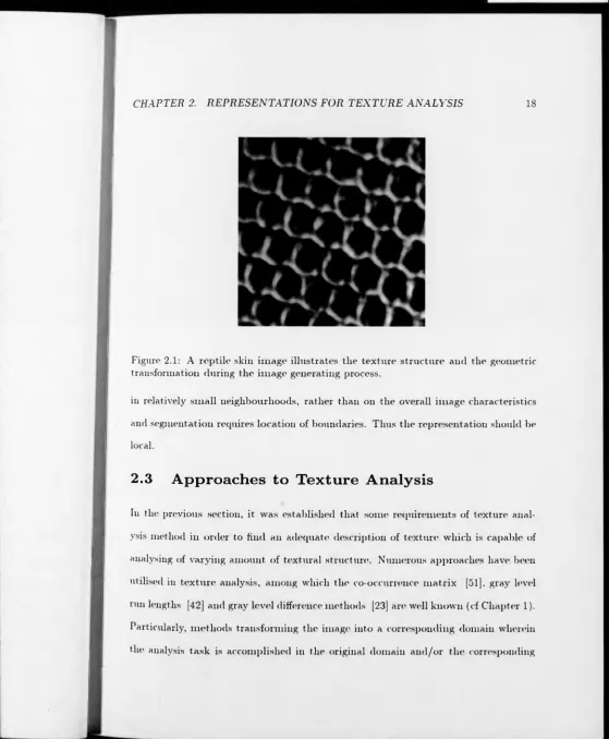 Figure 2.1: A reptile skin image illustrates the texture structure and the geometric transformation during the image generating process.