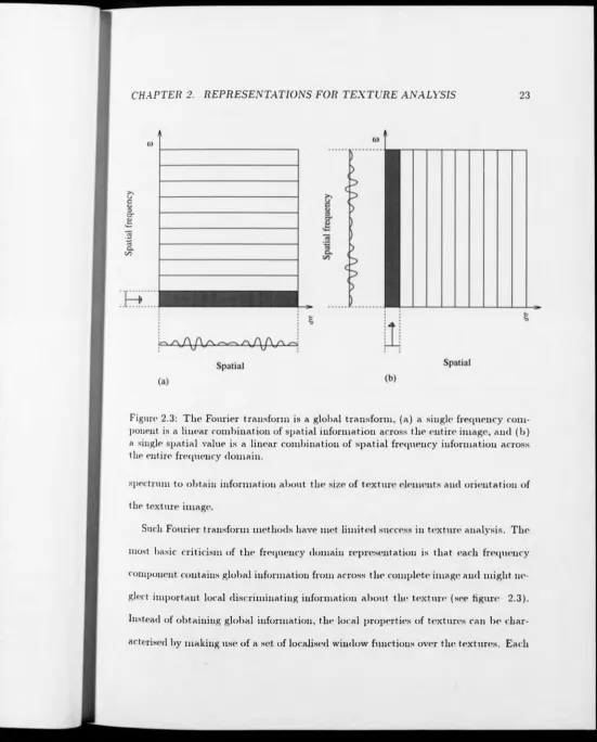 Figure 2.3: The Fourier transform is a global transform, (a) a single frequency com­ponent is a linear combination of spatial information across the entire image, and (b) 