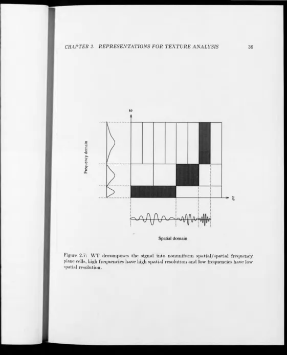 Figure 2.7: WT decomposes the signal into nonuniform spatial/spatial frequency plane cells, high frequencies have high spatial resolution and low frequencies have low 