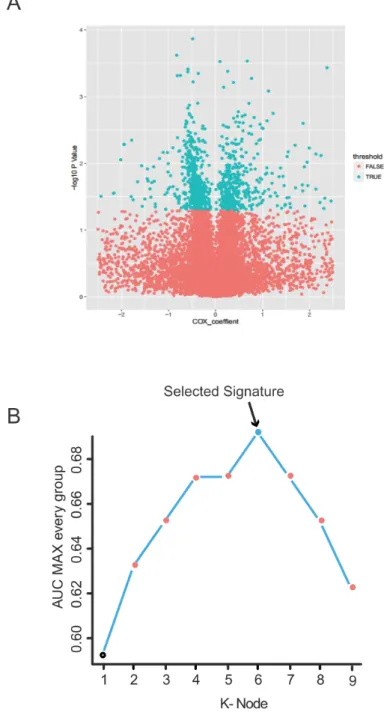 Figure 2: Identification of the PCGs-lncRNAs-microRNAs signature in the training dataset