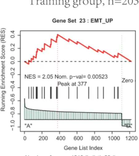 Figure 4: Functional enrichment of the co-expressed protein-coding genes with prognostic the two PCGs, two lncRNAs  and two microRNAs by GSEA in training and test group.