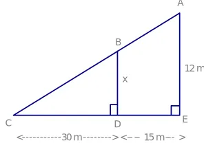 Figure 2:  Journal Questions 