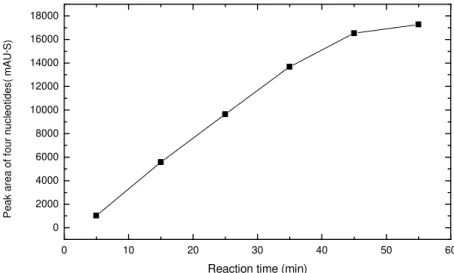 Figure 4. Relation between the yields of 5'-nucleotides and reaction time. 