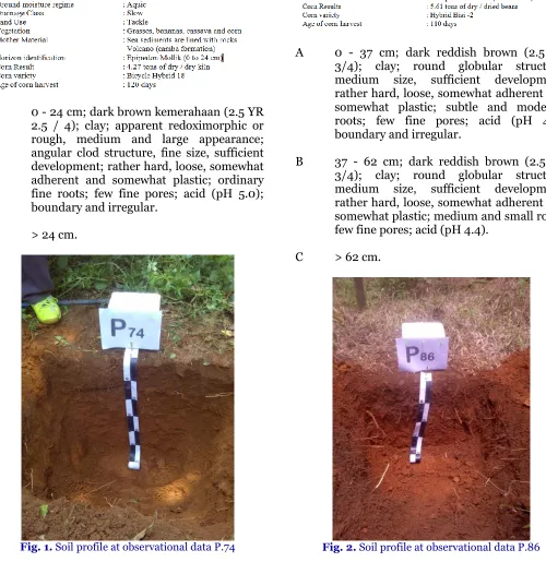 Fig. 2.  Soil profile at observational data P.86 