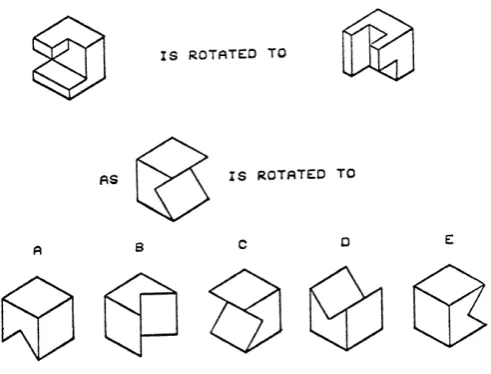 Figure 1. A sample item from the PSVT-R. 