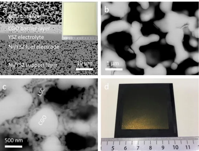 Figure 2.1: Cross-sectional SEM images of (a) a fuel electrode-supported cell prior to the  infiltration of LSC (inset showing the photograph of this cell in size of 12.5 × 12.5 cm 2 ), (b)  porous  CGO  backbone,  and  (c)  CGO  backbone  infiltrated  wit